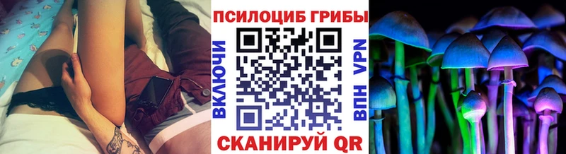 Галлюциногенные грибы Cubensis  где можно купить наркотик  Барабинск 