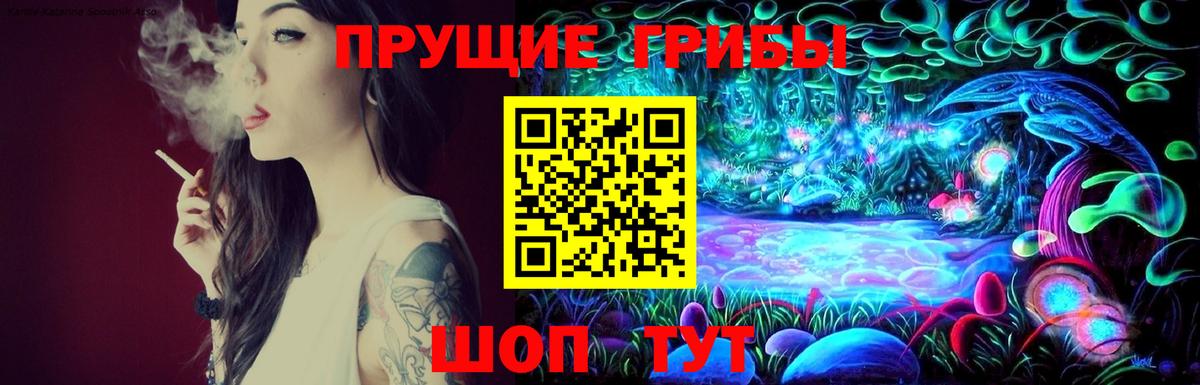 Галлюциногенные грибы Cubensis  где продают наркотики  Барабинск  Вход с VPN 