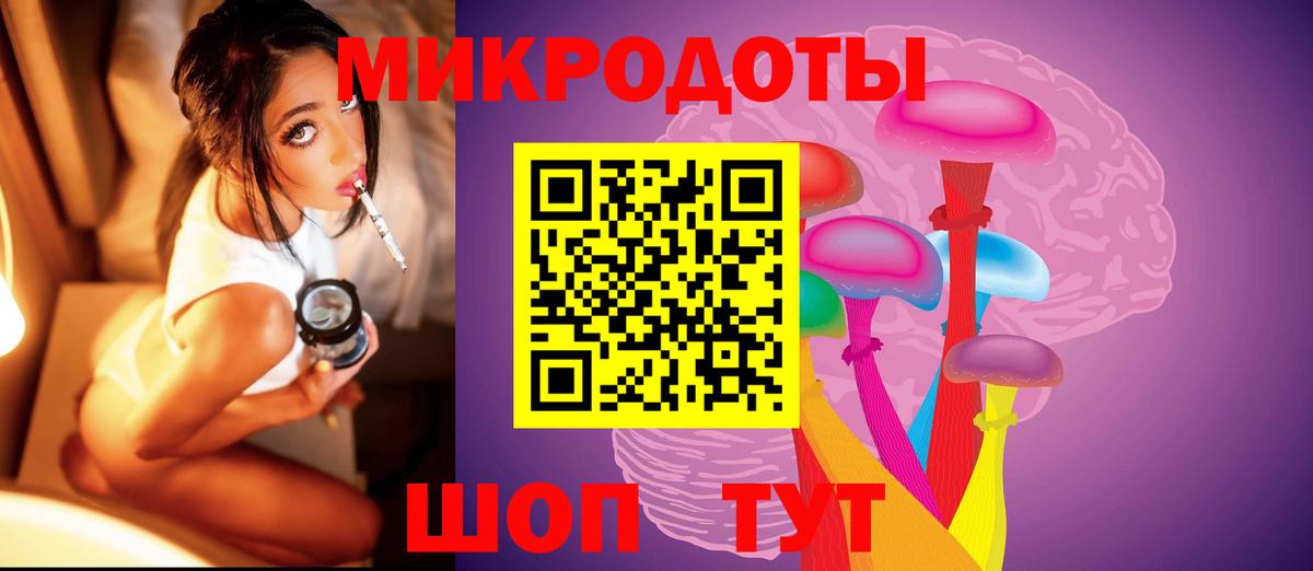 Галлюциногенные грибы Psilocybine cubensis Барабинск